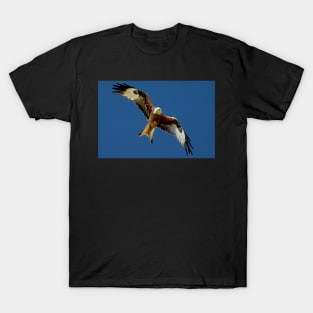 Red Kite in Flight T-Shirt